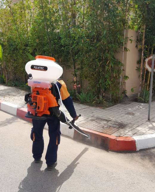 deratisation casablanca