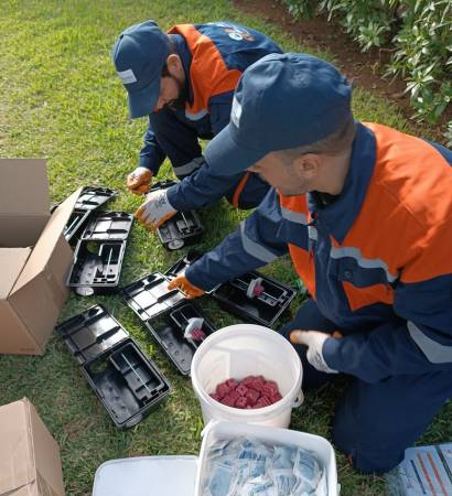 Société de dératisation à Casablanca