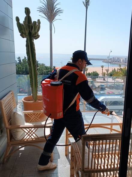 desinsectisation a casablanca